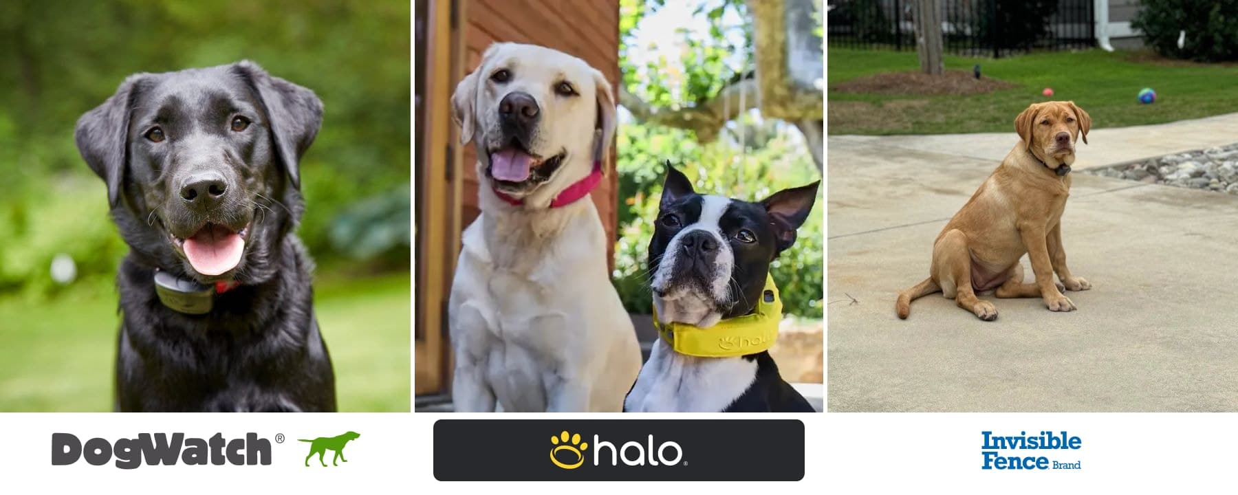 Dogs wearing DogWatch, Halo, and Invisible Fence collars, shown in three panels with each company logo.