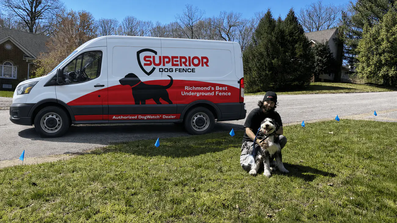 Blue boundary training flags set along a freshly installed dog fence boundary across a Richmond-area front lawn, with the Superior Dog Fence van parked at the curb.