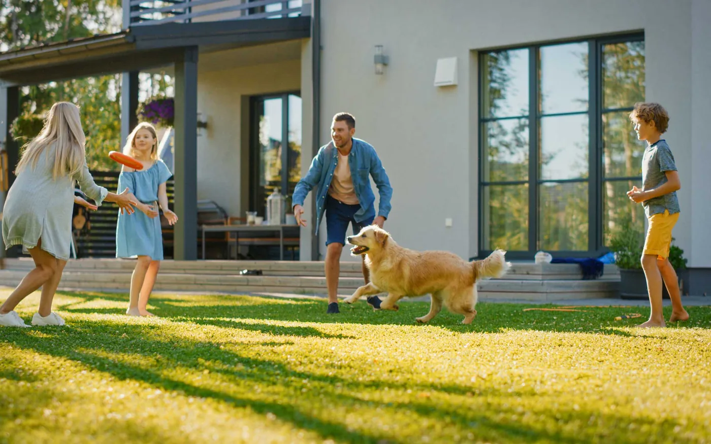 A golden retriever running across a back lawn while a family plays nearby