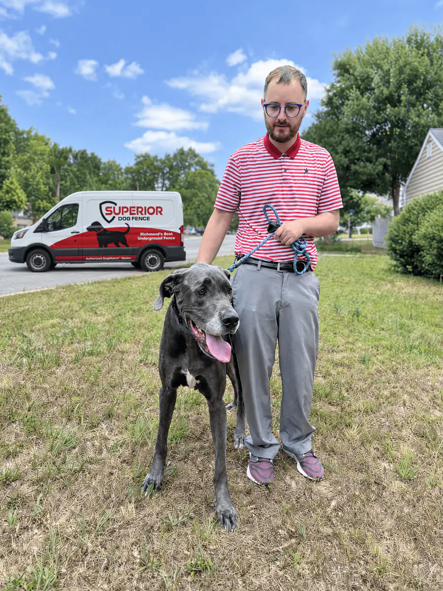 A dog owner standing on the lawn with a great dane on a leash, the Superior Dog Fence van parked behind them.