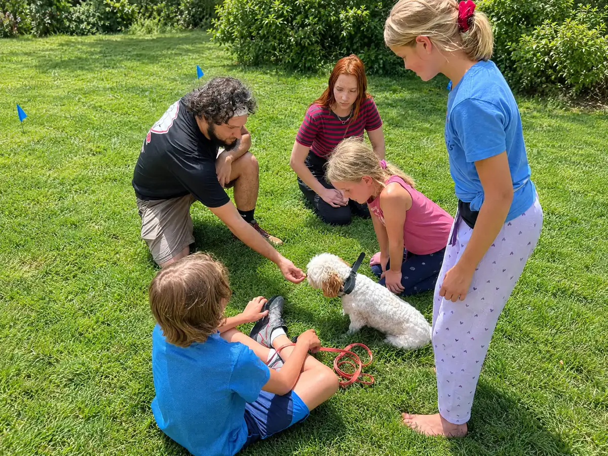 A dog fence boundary training session in progress, the family working their dog on lead beside the boundary flags
