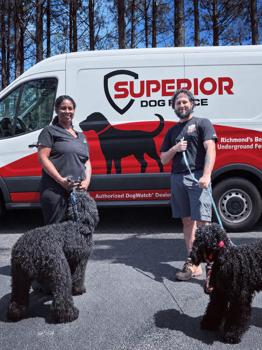 Two dog owners with a pair of black standard poodles on leads beside the Superior Dog Fence van.